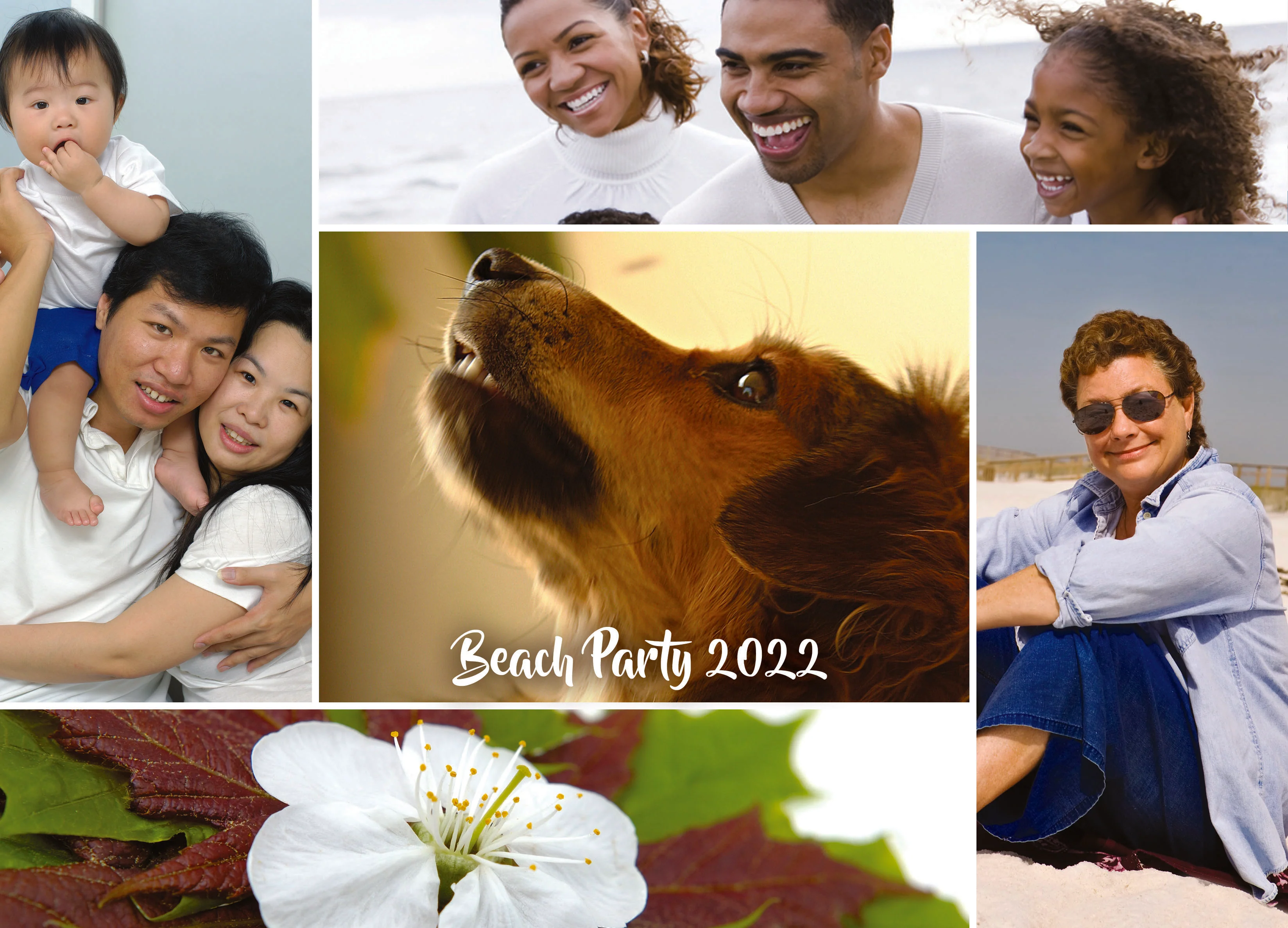 Custom Puzzle 19.25" x 26.625" - 1000 Piece Puzzle - Image 7