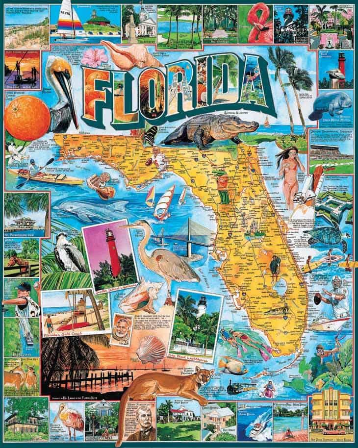 Set of 2: Florida Bundle 1000 Piece - Image 6