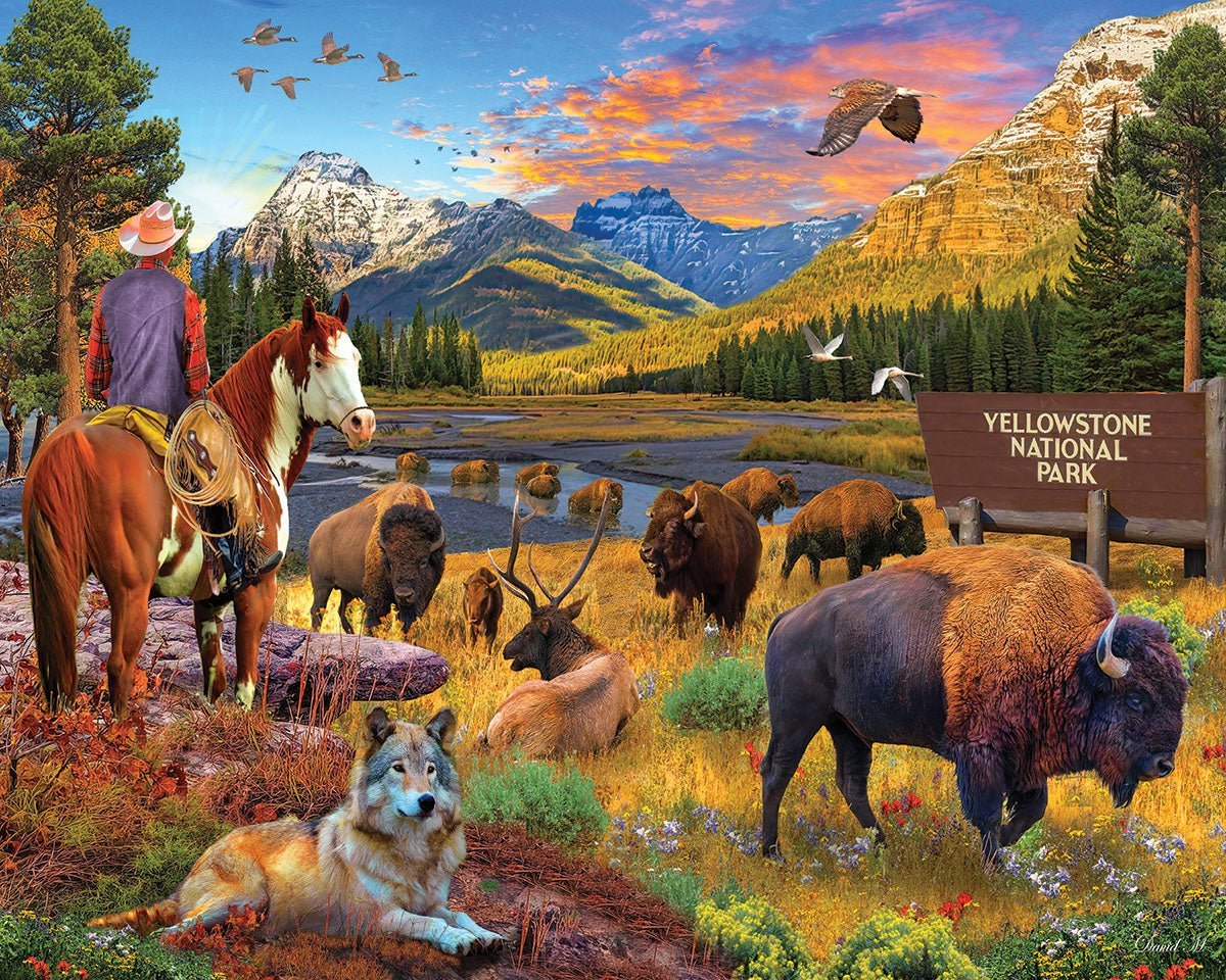 Set of 4: Artist David Maclean - National Parks Bundle 1000 piece - Image 6